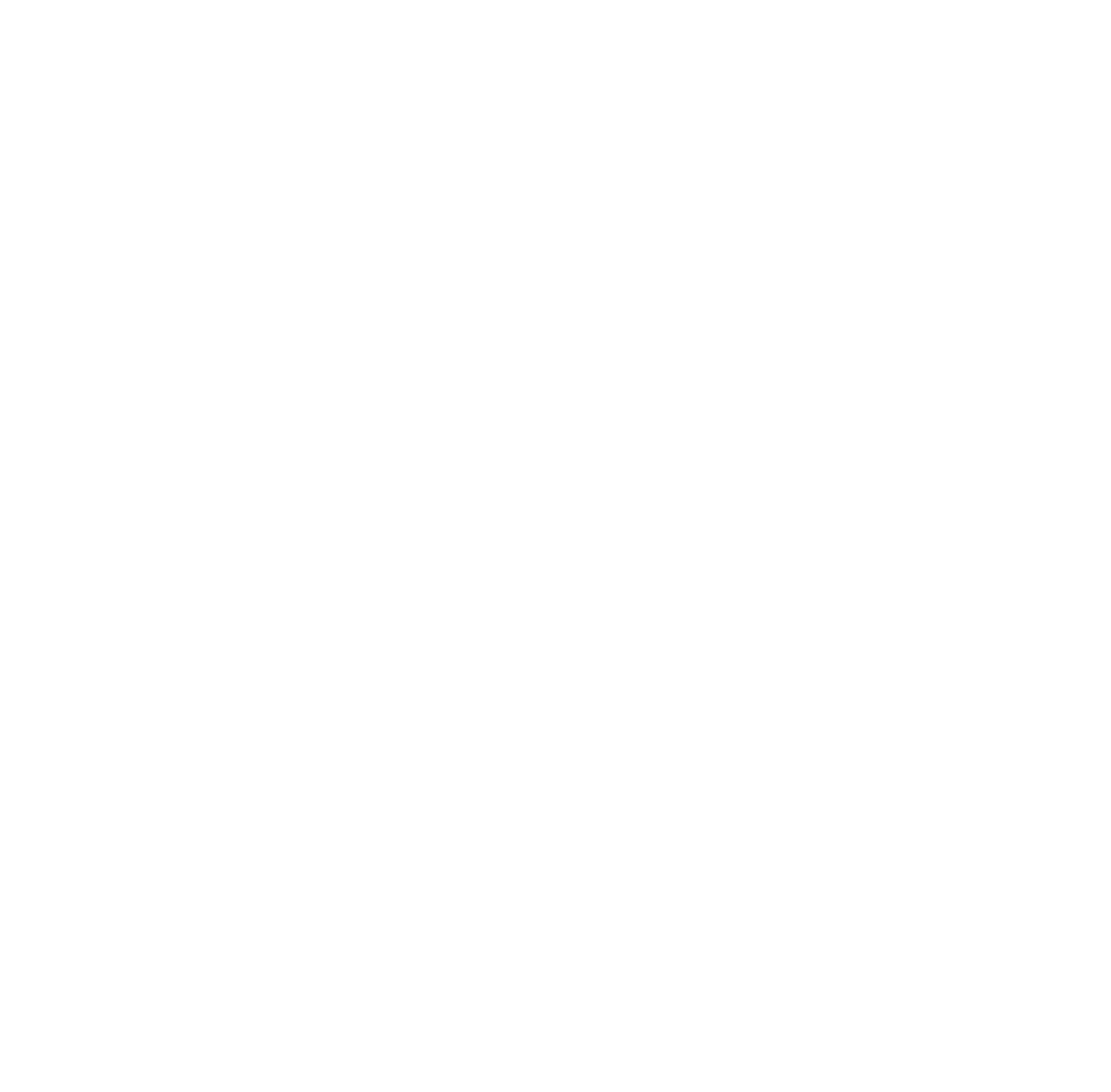 Tella Bird Illustration
